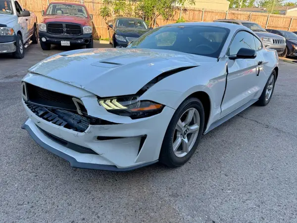 1FA6P8TH1K516216 2019 FORD MUSTANG - Image 2