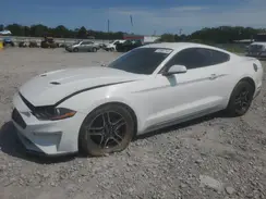 1FA6P8TH1K5172510 2019 FORD MUSTANG