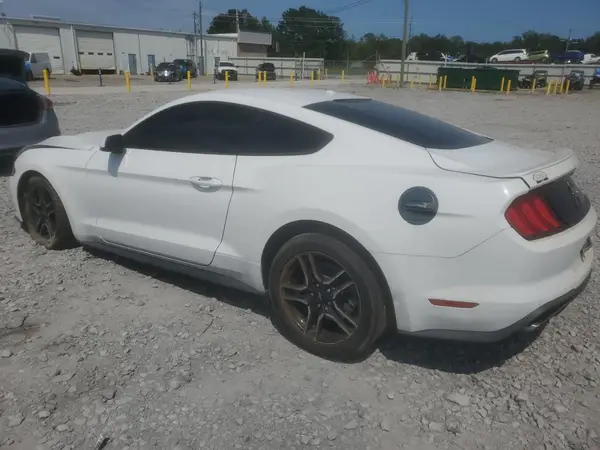 1FA6P8TH1K5172510 2019 FORD MUSTANG - Image 2