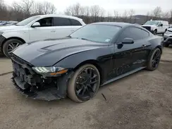 1FA6P8TH1K5173205 2019 FORD MUSTANG