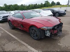 1FA6P8TH1K5177948 2019 FORD MUSTANG