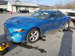 1FA6P8TH1K5182468 2019 FORD MUSTANG