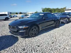 1FA6P8TH1K5184995 2019 FORD MUSTANG