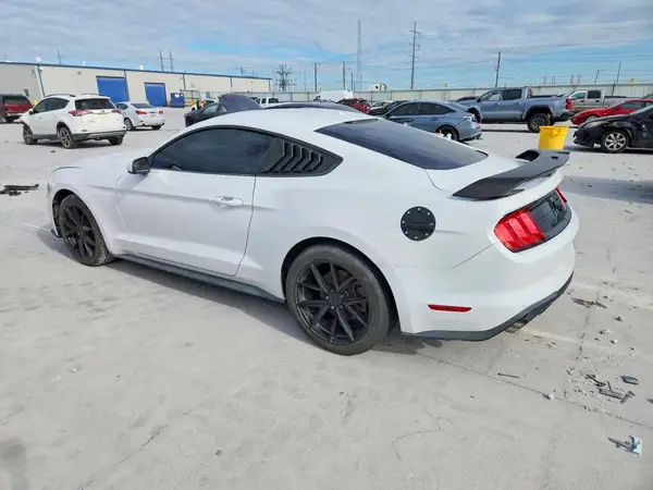 1FA6P8TH1K5185631 2019 FORD MUSTANG - Image 2