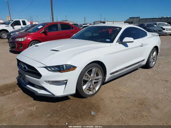 1FA6P8TH1K5185659 2019 FORD MUSTANG - Image 2