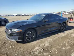 1FA6P8TH1K5185953 2019 FORD MUSTANG
