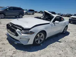 1FA6P8TH1K5187301 2019 FORD MUSTANG