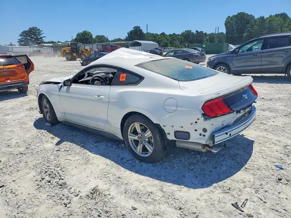 1FA6P8TH1K5187301 2019 FORD MUSTANG - Image 2