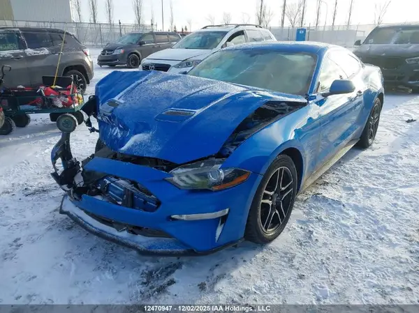1FA6P8TH1K5193647 2019 FORD MUSTANG - Image 2