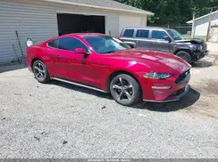 1FA6P8TH1K5194247 2019 FORD MUSTANG