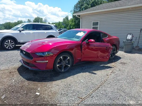 1FA6P8TH1K5194247 2019 FORD MUSTANG - Image 2