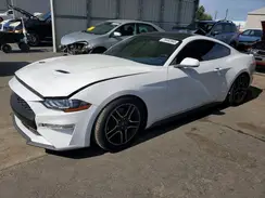 1FA6P8TH1K5194815 2019 FORD MUSTANG