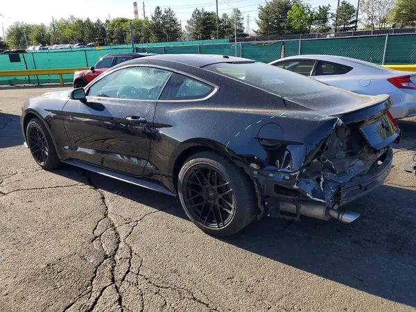 1FA6P8TH1K5195057 2019 FORD MUSTANG - Image 2