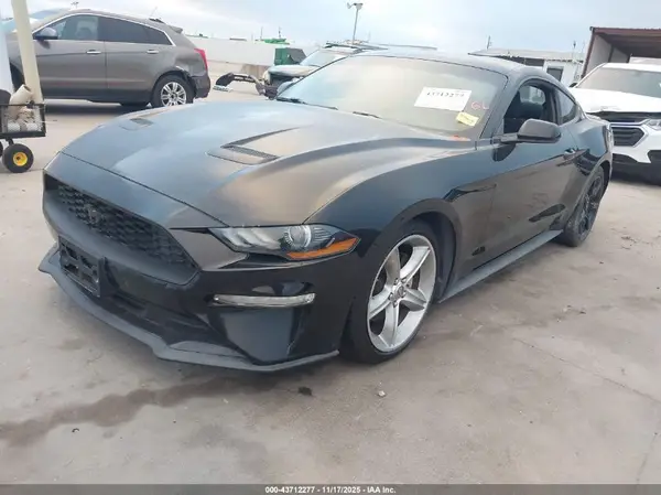 1FA6P8TH1K5196256 2019 FORD MUSTANG - Image 2
