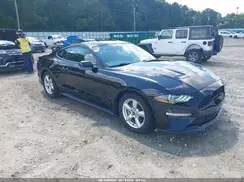 1FA6P8TH1K5197214 2019 FORD MUSTANG