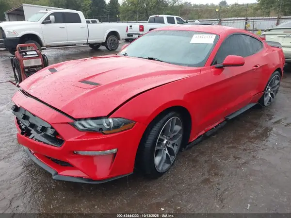 1FA6P8TH1K5197617 2019 FORD MUSTANG - Image 2