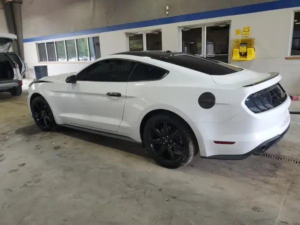1FA6P8TH1K5200886 2019 FORD MUSTANG - Image 2