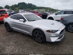 1FA6P8TH1K5201133 2019 FORD MUSTANG