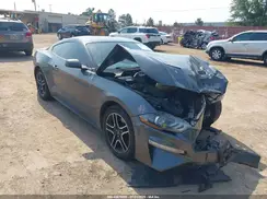 1FA6P8TH1K5204257 2019 FORD MUSTANG