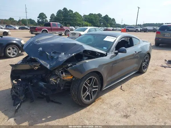 1FA6P8TH1K5204257 2019 FORD MUSTANG - Image 2