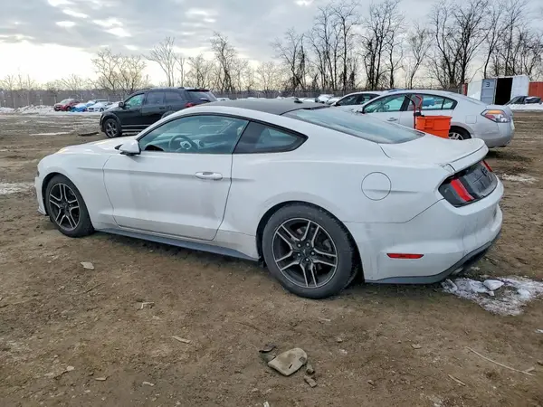 1FA6P8TH1L5118366 2020 FORD MUSTANG - Image 2