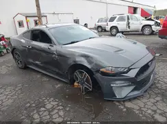 1FA6P8TH1L5183458 2020 FORD MUSTANG