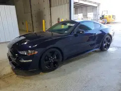1FA6P8TH1M5134617 2021 FORD MUSTANG