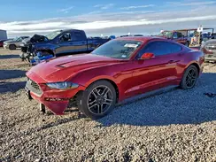 1FA6P8TH1M5146637 2021 FORD MUSTANG