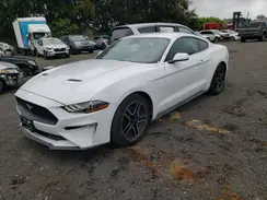 1FA6P8TH1P5103694 2023 FORD MUSTANG