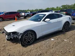 1FA6P8TH1P5104148 2023 FORD MUSTANG