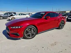 1FA6P8TH1R5100863 2024 FORD MUSTANG