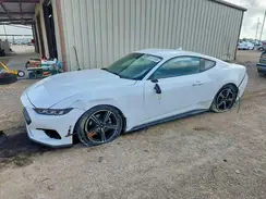 1FA6P8TH1R5106727 2024 FORD MUSTANG