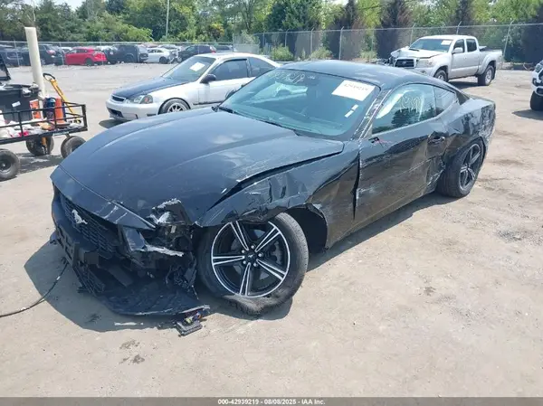 1FA6P8TH1R5106856 2024 FORD MUSTANG - Image 2