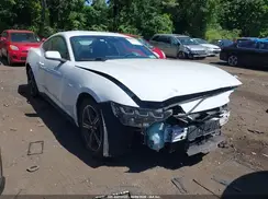 1FA6P8TH1R5107232 2024 FORD MUSTANG