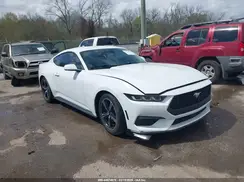 1FA6P8TH1R5107263 2024 FORD MUSTANG
