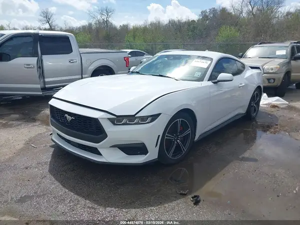1FA6P8TH1R5107263 2024 FORD MUSTANG - Image 2