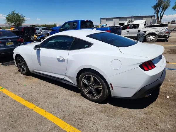 1FA6P8TH1R5107523 2024 FORD MUSTANG - Image 2