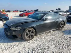 1FA6P8TH1R5109496 2024 FORD MUSTANG