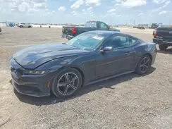 1FA6P8TH1R5109658 2024 FORD MUSTANG