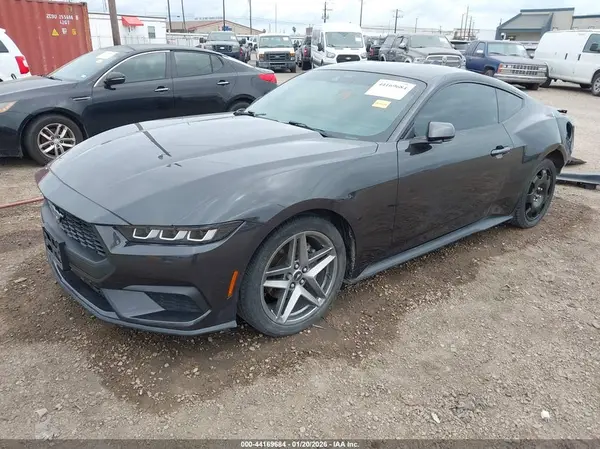 1FA6P8TH1R5118151 2024 FORD MUSTANG - Image 2