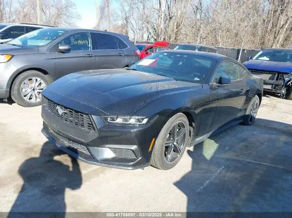 1FA6P8TH1R5120532 2024 FORD MUSTANG - Image 2