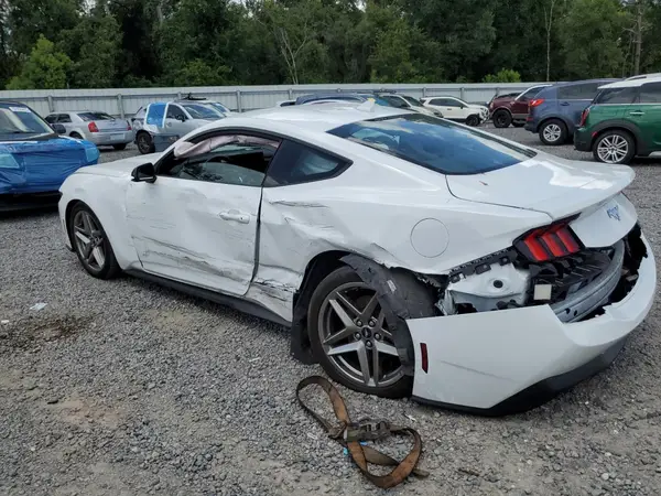 1FA6P8TH1R5122930 2024 FORD MUSTANG - Image 2