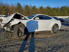 1FA6P8TH1R5125875 2024 FORD MUSTANG