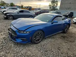 1FA6P8TH1R5127187 2024 FORD MUSTANG