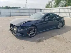 1FA6P8TH1R5134513 2024 FORD MUSTANG