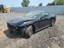 1FA6P8TH1R5138075 2024 FORD MUSTANG