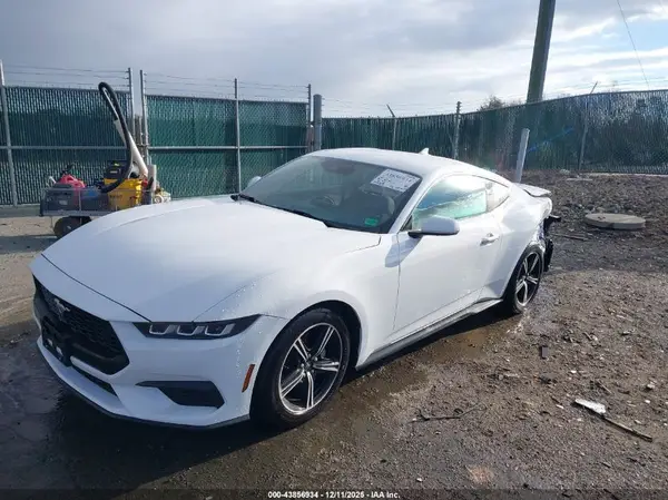 1FA6P8TH1R5146662 2024 FORD MUSTANG - Image 2