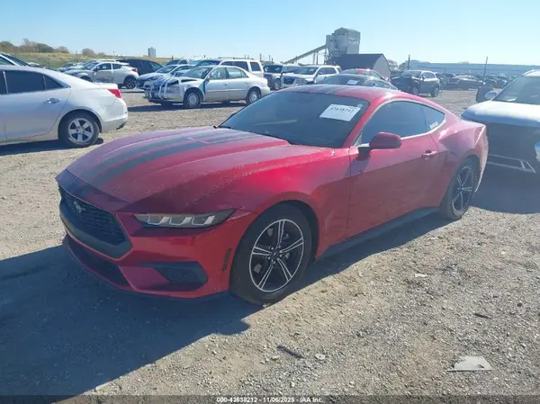 1FA6P8TH1R5149125 2024 FORD MUSTANG - Image 2