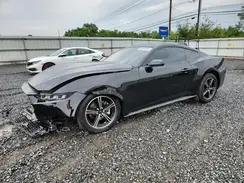 1FA6P8TH1S5103428 2025 FORD MUSTANG