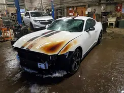1FA6P8TH1S5115613 2025 FORD MUSTANG